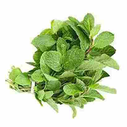 Mint Leaves